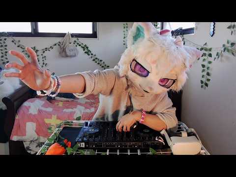 LIVE FURRY DJ free mixing Techno & Trance 