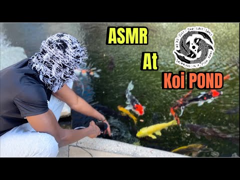 ASMR In Public (Japanese pond)