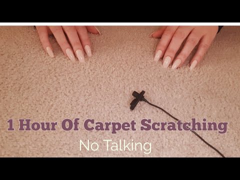 ASMR 1 Hour Of Carpet Scratching-No Talking