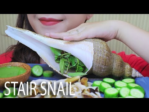 ASMR STAIR SNAIL - THE MOST EXPENSIVE KIND OF SNAILS (EXOTIC FOOD) EATING SOUNDS | LINH-ASMR