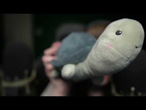 ASMR Best Mouth Sounds with Sammy the Kissing Turtle