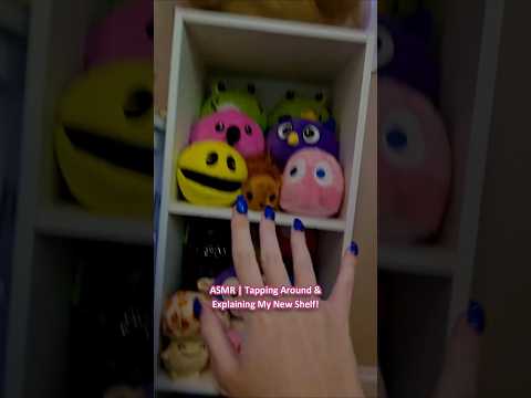 ASMR | Tapping Around & Explaining My New Shelf! ─♡─ #asmr #handmovementsasmr
