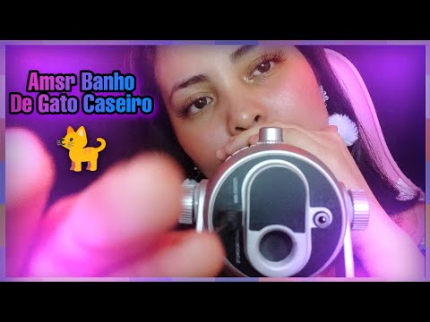 Asmr Banho De Gato Caseiro 🐈