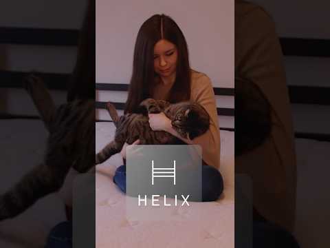The Best Mattress of 2026? Helix!!!!