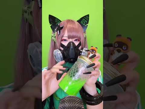 【ASMR】How many times do you see this Tom Nook? 何回たぬきちを見ましたか？#shorts #asmr #asmr屋さん #四葉の抹茶
