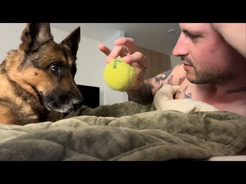 Morning Dog Love ASMR