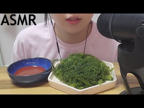 ASMR 바다포도 먹방  Sea grapes (노토킹)