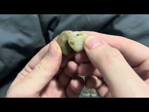 Satisfying Scratching & Rubbing Pebbles 🪨(Clickey Sounds) | Natural ASMR Triggers 🌱| 99% TINGLES✨