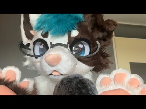 [Furry ASMR] Brushing the mic with my paws and some yapping 🐾