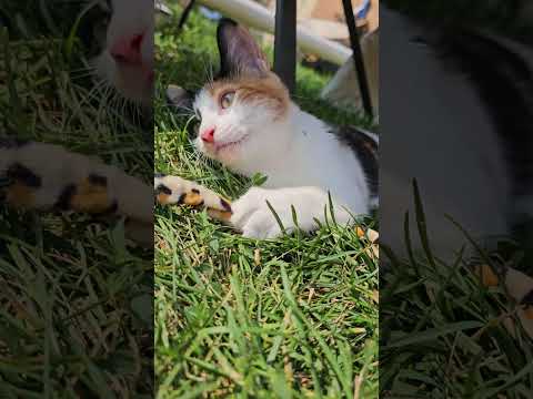 Our beautiful girl ♡