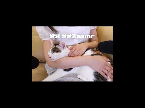 골골송 ASMR #몽실언니