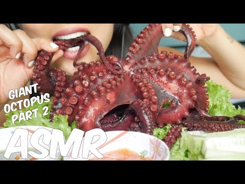 ASMR WHOLE GIANT OCTOPUS (SAVAGE EATING SOUNDS) NO TALKING PART 2 | SAS-ASMR