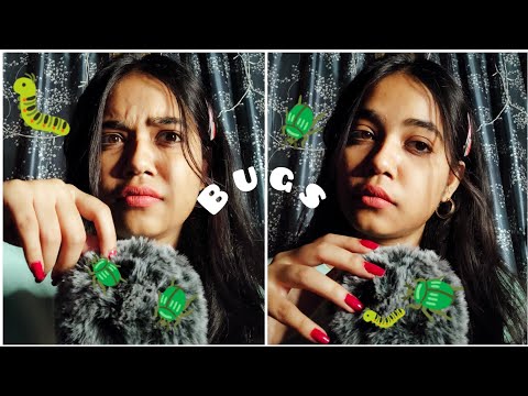 ASMR HINDI| BUGS🐛SEARCHING AND EATING