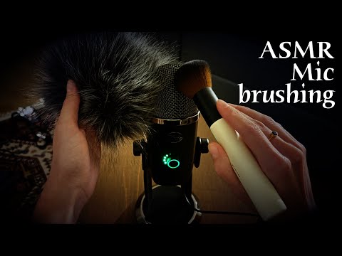 ASMR 🌙 Microphone brushing - Mic brushing sounds (no talking)