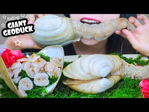 ASMR 3 OF GIANT GEODUCK (SASHIMI X GEODUCK MUSHROOM SOUP) EATING SOUNDS | LINH-ASMR