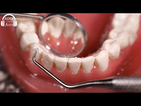 [ASMR] 歯科器具でガリガリ歯石取り - Dentist Role Play / Teeth Cleaning  [No Talking]