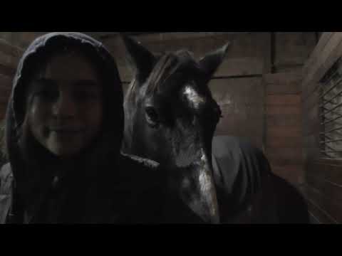 my horse (baby)blue