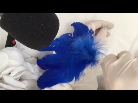 ✽ஜீLATEX GLOVES  brushing,feathers,reading in DUTCH 💗  [[ASMR]]