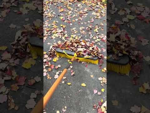 Crispy crunchy leaf ASMR! #relax #relaxing #tingles