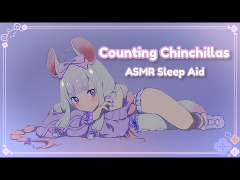[ASMR Sleep Aid] Counting Chinchillas to help you sleep [Whisper] [light talking] [F4A] [binaural]