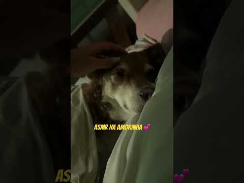 ASMR na Amora 💕