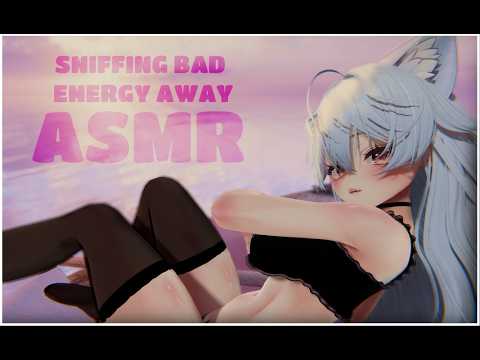【ASMR Vrchat】Catgirl sniffs your bad energy away! ♥ sniffa ♥ headpats ♥ personal attention