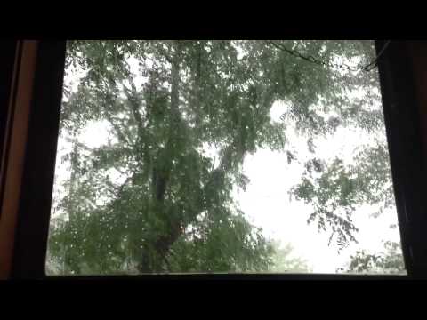 ASMR Rain And Thunder Sounds