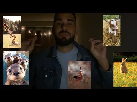 ASMR | TEST DE MÉMOIRE