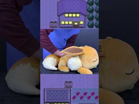 Relax with your Eevee |  #asmr #pokemon #asmrvideos #chiropractic