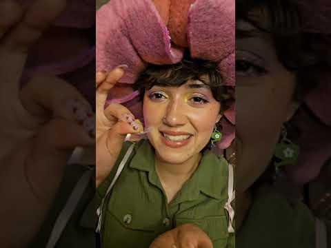 Fairy Gardens Your Brain 🧠🌱✨️ #asmr #energyhealing #affirmations