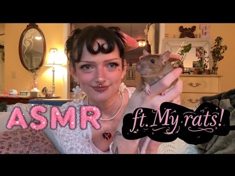 ASMR | Target haul with a touch of ✨chaos✨ (NO MIDROLL ADS) 