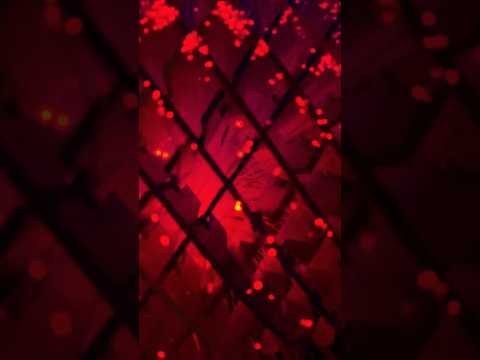 Which One Satisfied You The Most?🔥🌊🌬️🌱 #asmr