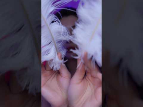 Caricias con plumas💤 #asmr #asmrsounds #asmrvideo #relax #calm #shorts #tingles #caricias #visual