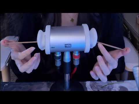 The Most Relaxing ASMR Ear Cleaning Ever with Goose Feather, Ponytail Silk & Brush (No Talking)