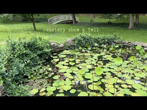 asmr cemetery vlog ~ relaxing nature walk | show & tell
