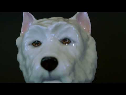 ASMR setting up my camera around the house (camera sounds) (no talking)