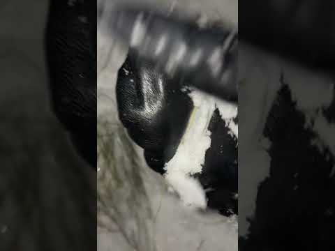 Snow asmr #asmr #asmrlofi