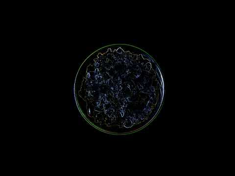 ASMR – 06 Popping candy [No talking]