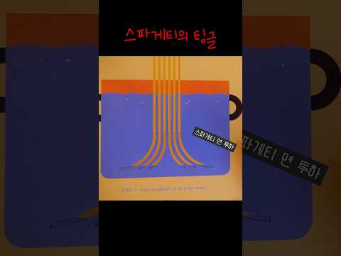 🍝 종이책 스파게티 요리