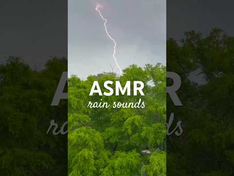 🌩️ thunderstorm rain sounds for deep sleep | #asmr ambience