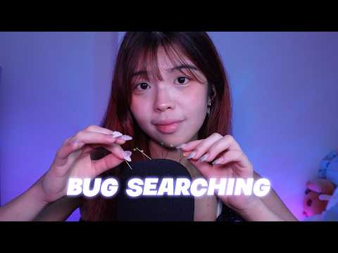 Bug Searching and Cleaning For You!