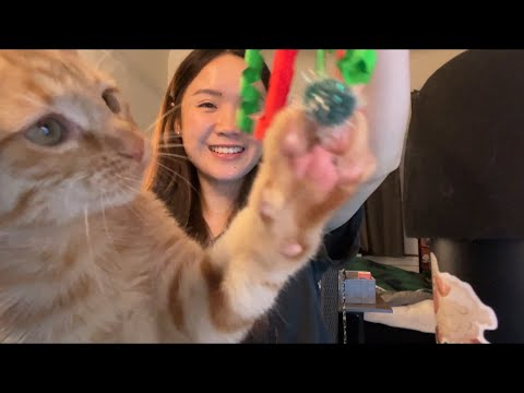 ASMR with new kitten (lots of purring sounds)