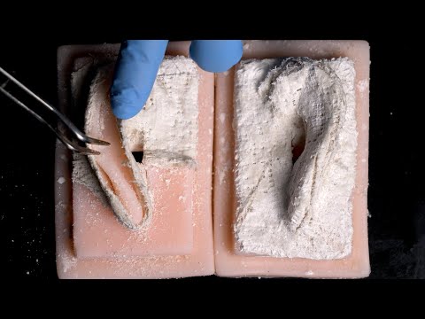 [ASMR] Moulting sound to remove the cast from the ear [No Talking / Roleplay]