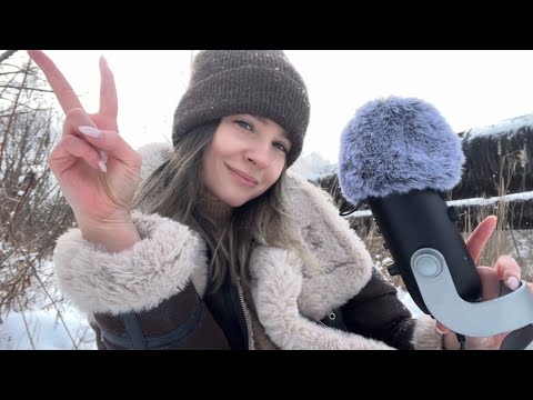 ASMR dans forêt enneigée