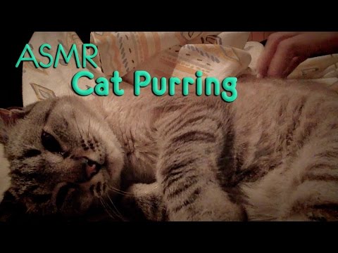 ASMR VHS - Cat Purring / Kitty Kitty - Word Repetition