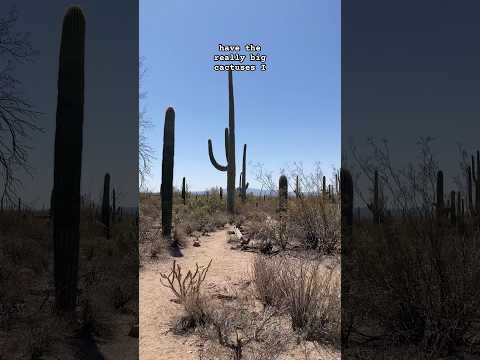 ASMR Arizona travel vlog🌵