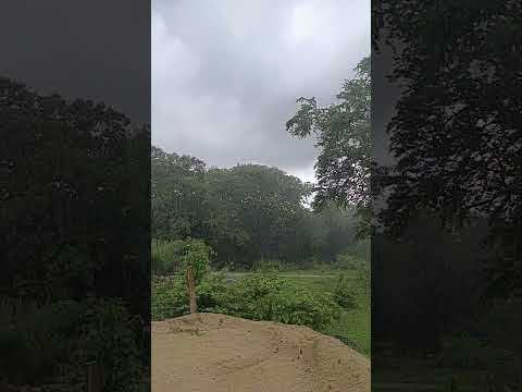 sonidos de la naturaleza, fin de semana en cabaña 😃