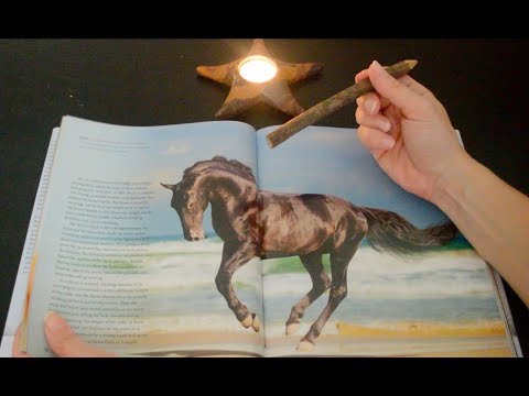 Asmr - Candle Light Book Reading/ Page Turning