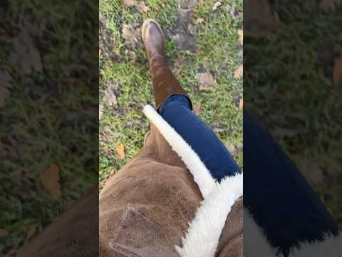 ASMR im gefrorenen Gras wandern gehen. 🙃