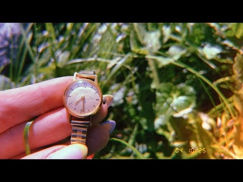 ASMR lost in the weird garden. 